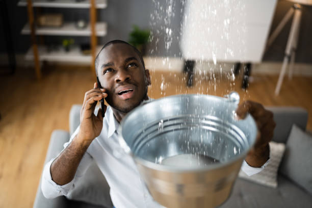 Best 24/7 water damage repair  in Carthage, TN