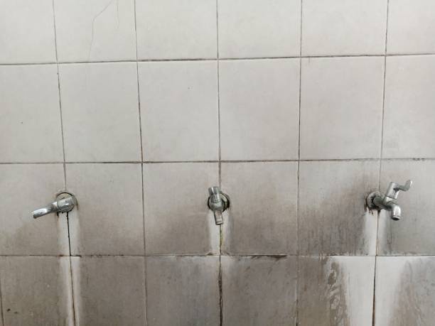 Best 24/7 water damage repair  in Carthage, TN