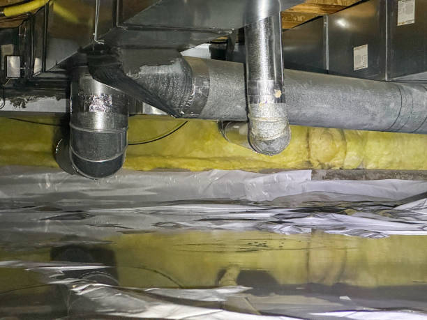Best Mold removal after water damage  in Carthage, TN
