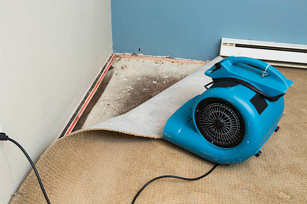 Best Local water damage restoration  in Carthage, TN